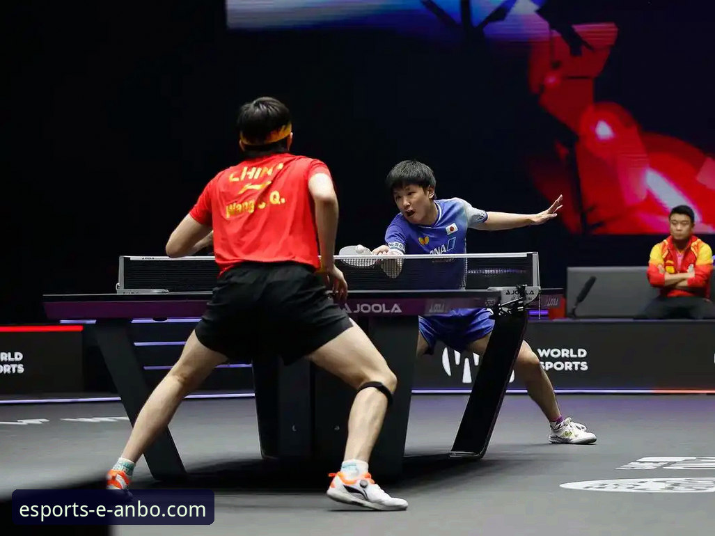 WTT重庆冠军赛男单决赛：一场青春风暴的战术复盘与平台观赛体验深度评测